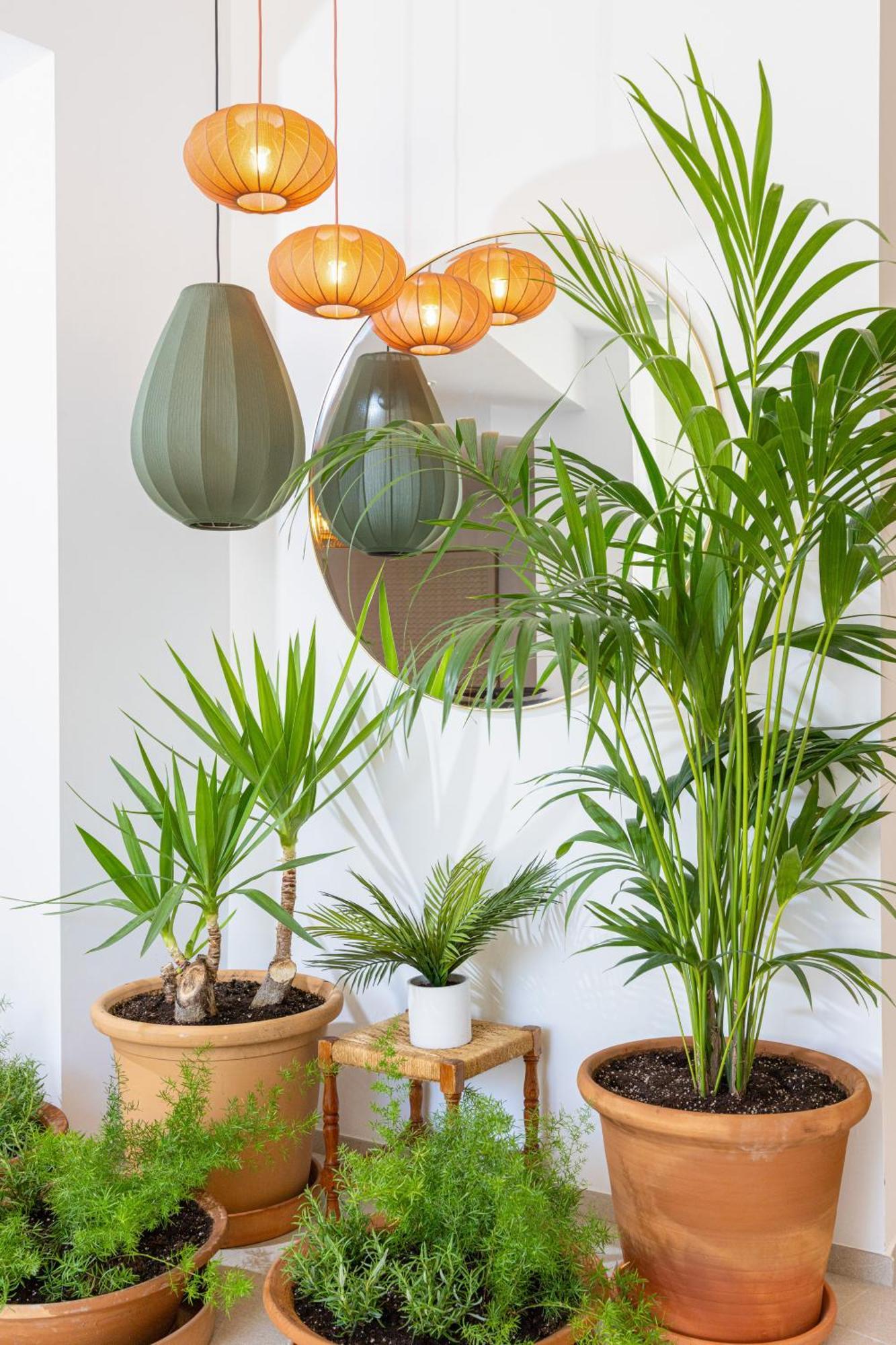 Sol Cala D'Or Apartamentos מראה חיצוני תמונה